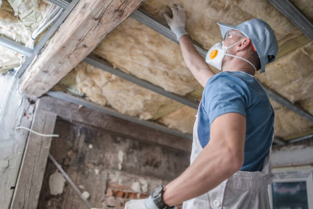Best Spray Foam Insulation in Thibodaux, LA