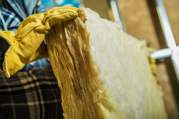 Types of Insulation We Offer in Thibodaux, LA