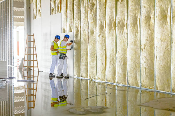 Best Specialized Insulation Services in Thibodaux, LA